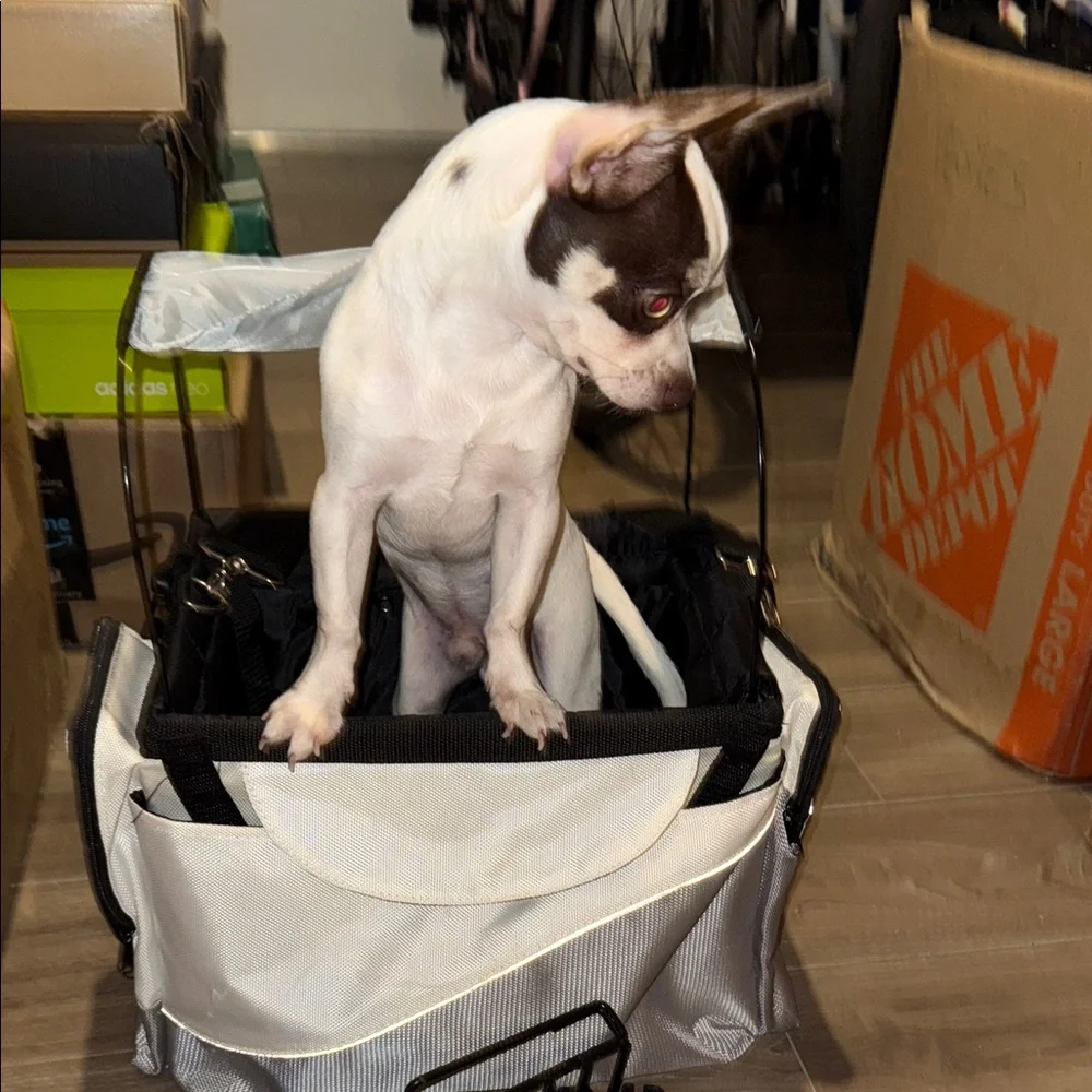 White and Black Pet Carrier